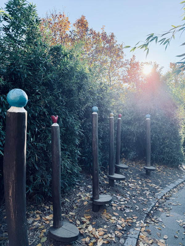 Autumn garden